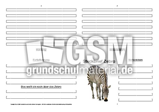 Zebra-Faltbuch-vierseitig-8.pdf